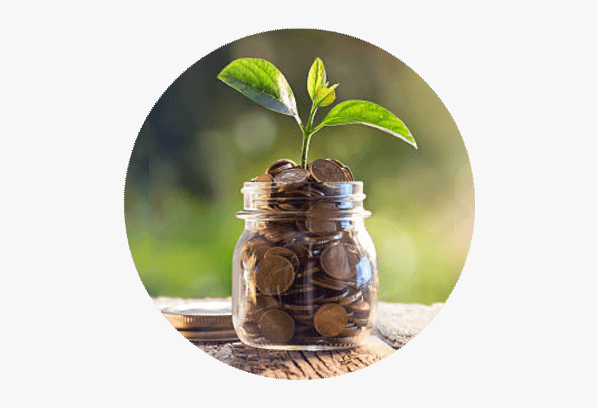Money-tree - Glass Environmentally Friendly, HD Png Download, Free Download