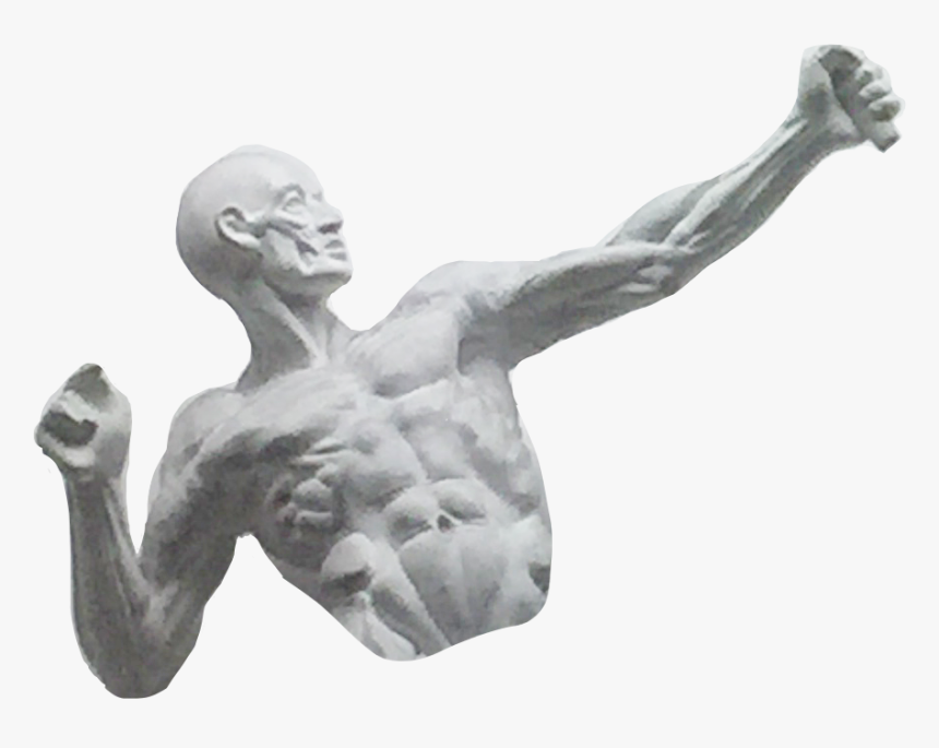 #statue #art #museum #vaporwave #vaporwaveaesthetic - Visual Arts, HD Png Download, Free Download