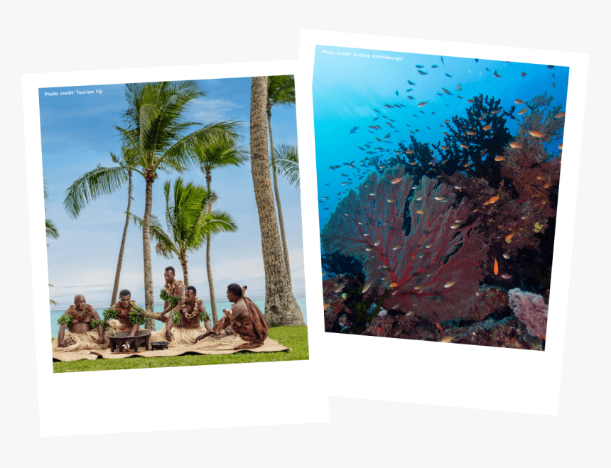 Fiji Tourism, HD Png Download, Free Download