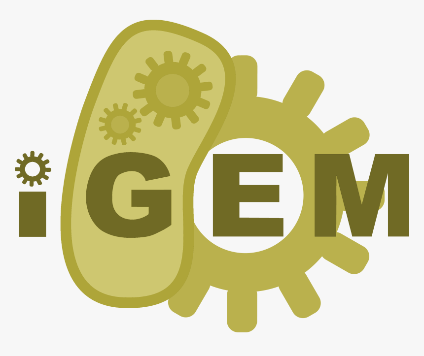 Expand On Your Silver Medal Gold Shield Png - International Genetically Engineered Machine, Transparent Png, Free Download