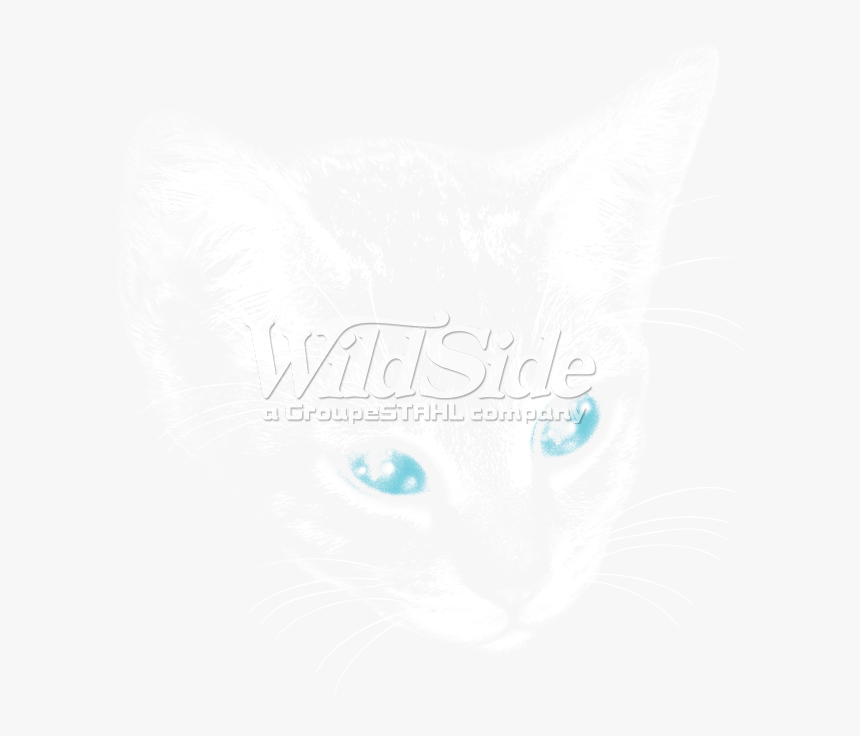 Transparent Cat Eyes Png - T-shirt, Png Download, Free Download