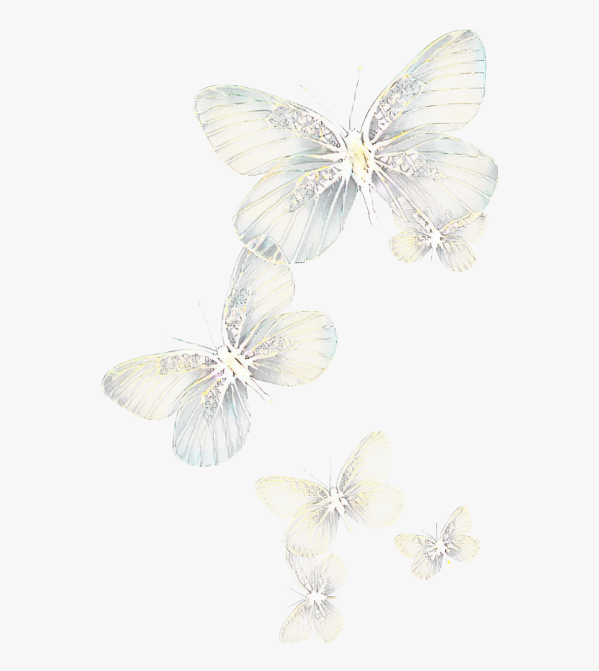 Ftestickers Butterflies Light Glowing - White Butterfly Transparent Background, HD Png Download, Free Download