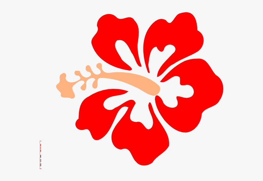 Coral Hibiscus Clip Art, HD Png Download, Free Download