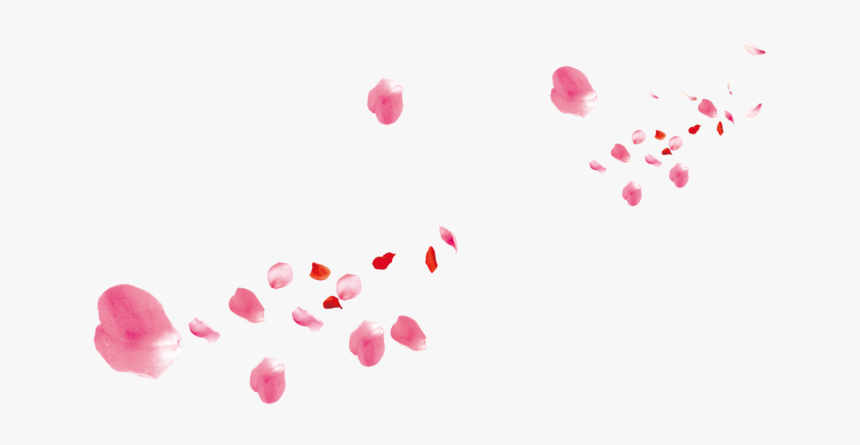 Pink Flower Rose Petals Petal Beach - Pink Flower Petals Png, Transparent Png, Free Download