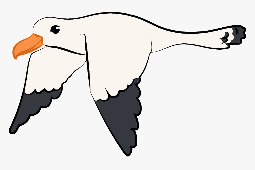 Flying Seagull Clipart, HD Png Download, Free Download