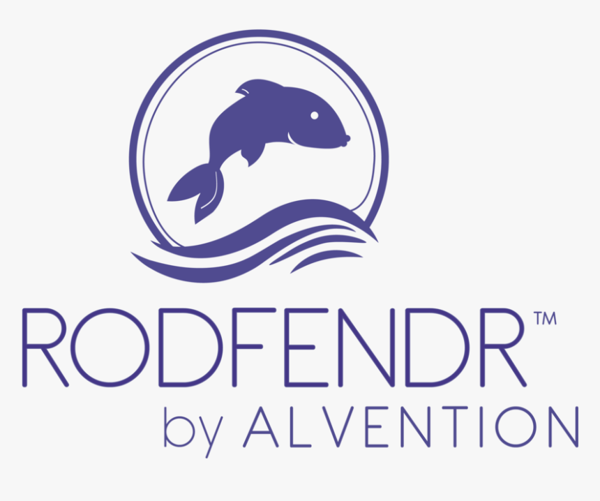 Graphic Design, HD Png Download, Free Download