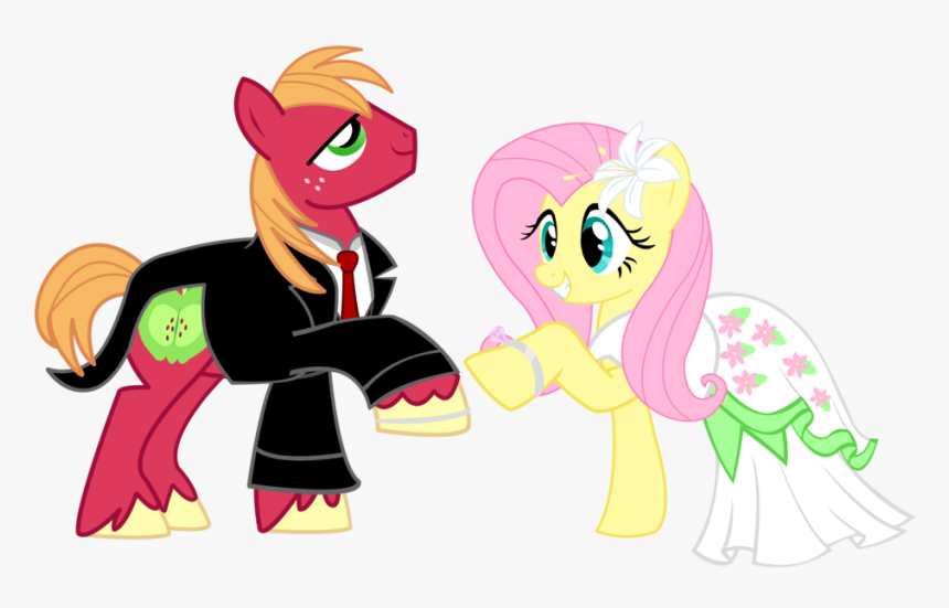 Pony Wedding Commission Big Mac X Flutt - My Little Pony Big Mac X Fluttershy, HD Png Download, Free Download