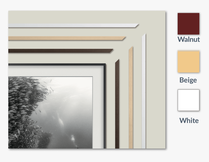 Transparent Tv Frame Png - Frames For Samsung The Frame, Png Download, Free Download