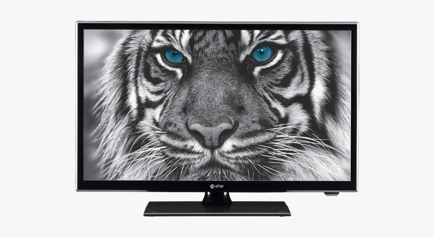 Estar Led Tv - Tv E Star 22 D4t2, HD Png Download, Free Download