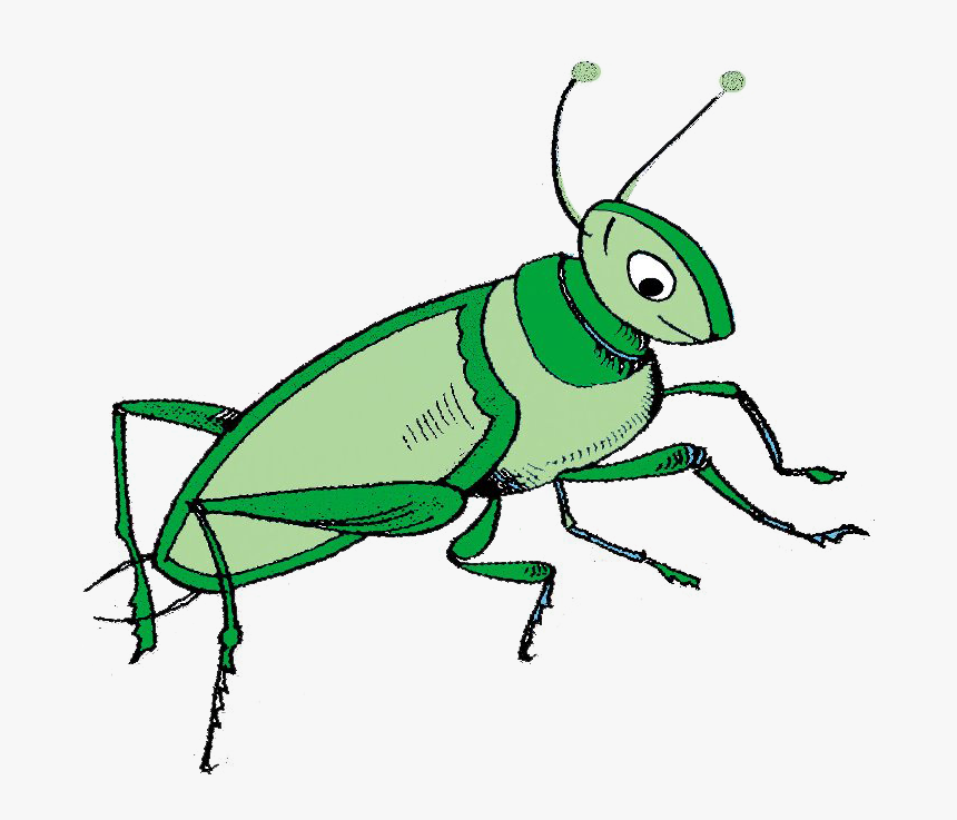 Grasshopper Language School - Membrane-winged Insect, HD Png Download, Free Download