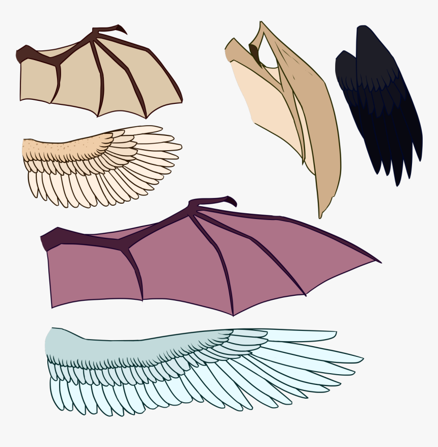 Demon Bat Wings Png, Transparent Png, Free Download