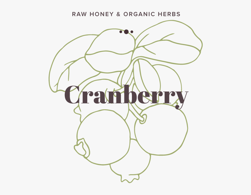 Cranberry, HD Png Download, Free Download