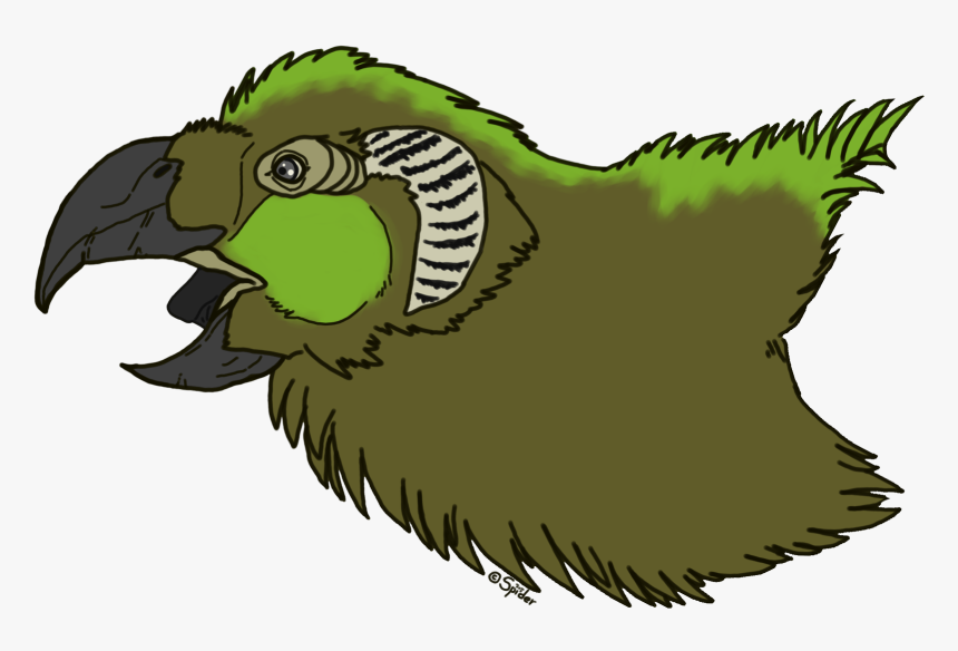 Parrot Griffin Headshot - Cartoon, HD Png Download, Free Download