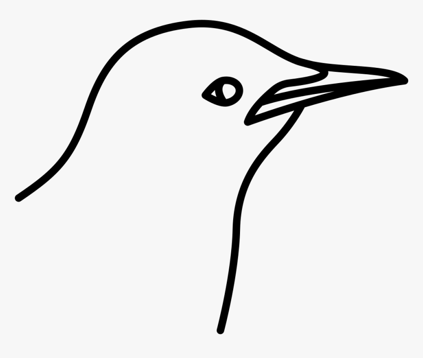Bird, HD Png Download, Free Download