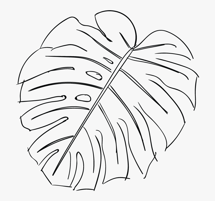 Line Drawing Of A Leaf At Getdrawings - Monstera Leaf Drawing Outline, HD P...