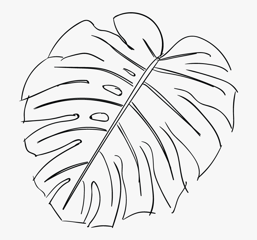 Line Drawing Of A Leaf At Getdrawings - Monstera Leaf Drawing Outline