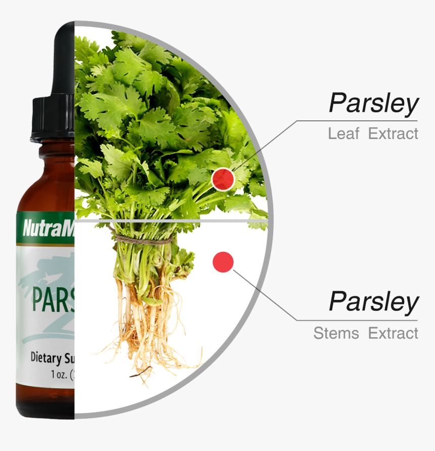 Nutramedix, HD Png Download, Free Download