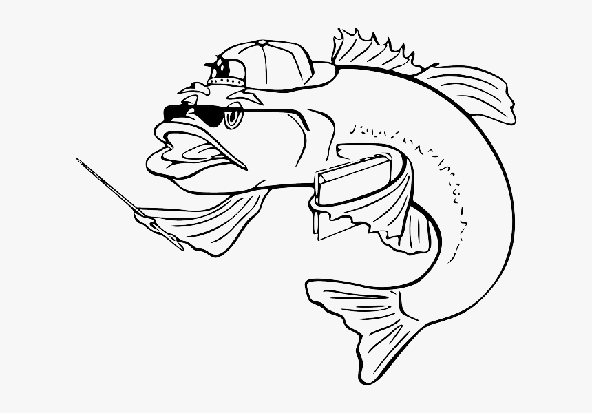 Featured image of post Steps to Make Simple Largemouth Bass Drawing