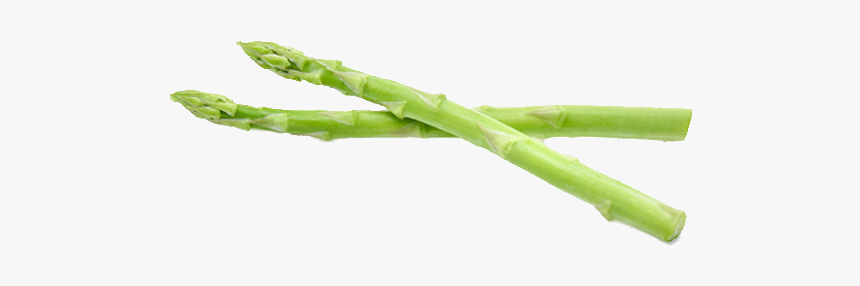 Asparagus’s Health Properties - Leek, HD Png Download, Free Download