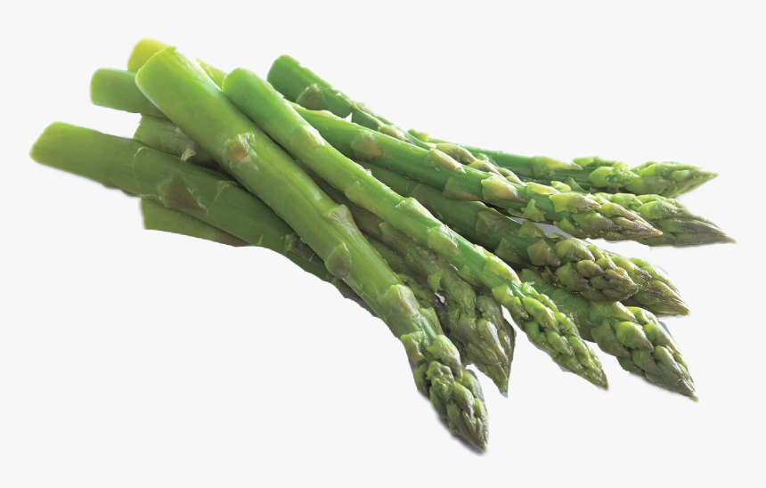 #asparagus - Šparoga, HD Png Download, Free Download