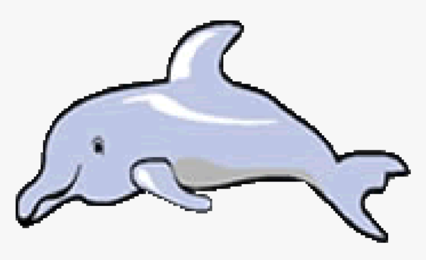 Dolphin - Tucuxi, HD Png Download, Free Download