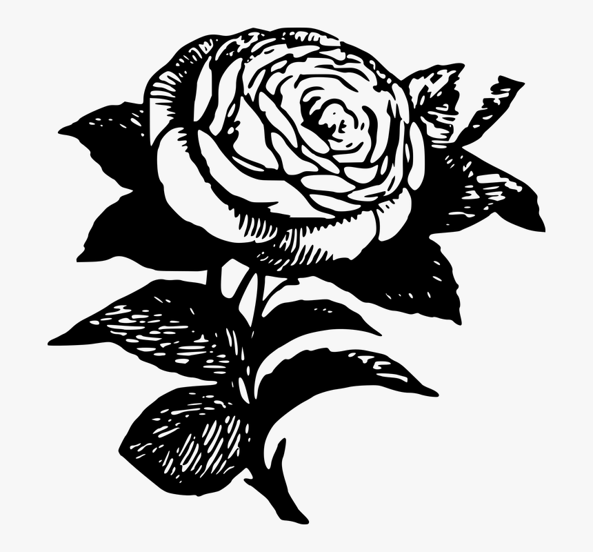 40 Amazing Black Rose Tattoo Ideas That You Will Love  InkMatch