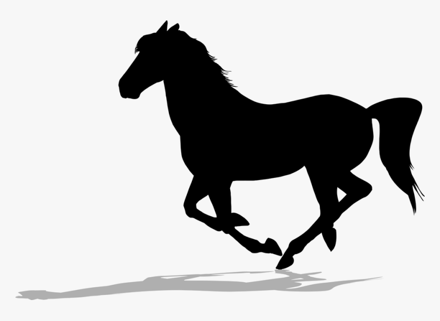 Horse Black And White, HD Png Download, Free Download