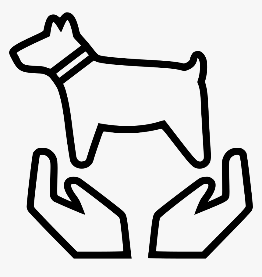 Pet Care - Pet Care Pet Icons, HD Png Download, Free Download