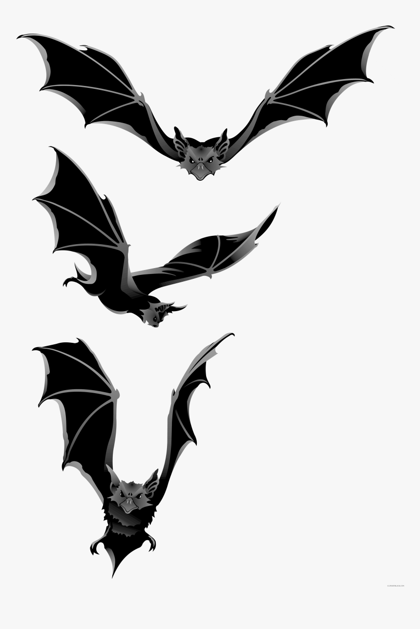 Bat Animal Free Black White Clipart Images Clipartblack - Halloween Bats Clipart Png, Transparent Png, Free Download