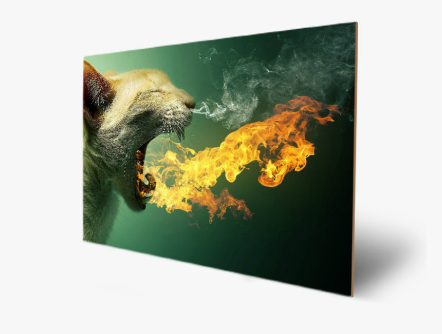 Transparent Green Fire Png - Daenerys Cat Meme, Png Download, Free Download