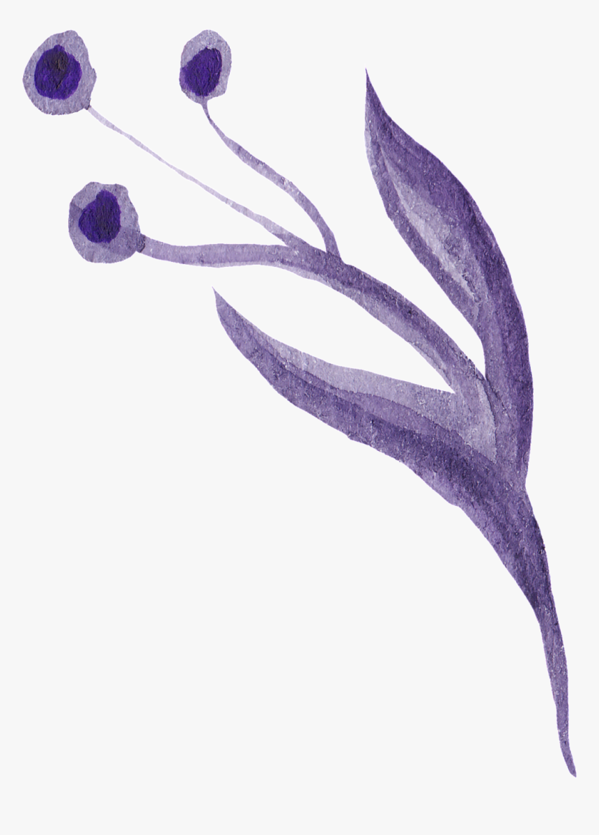 Deep Purple Flower Cartoon Transparent - Lily Family, HD Png Download, Free Download