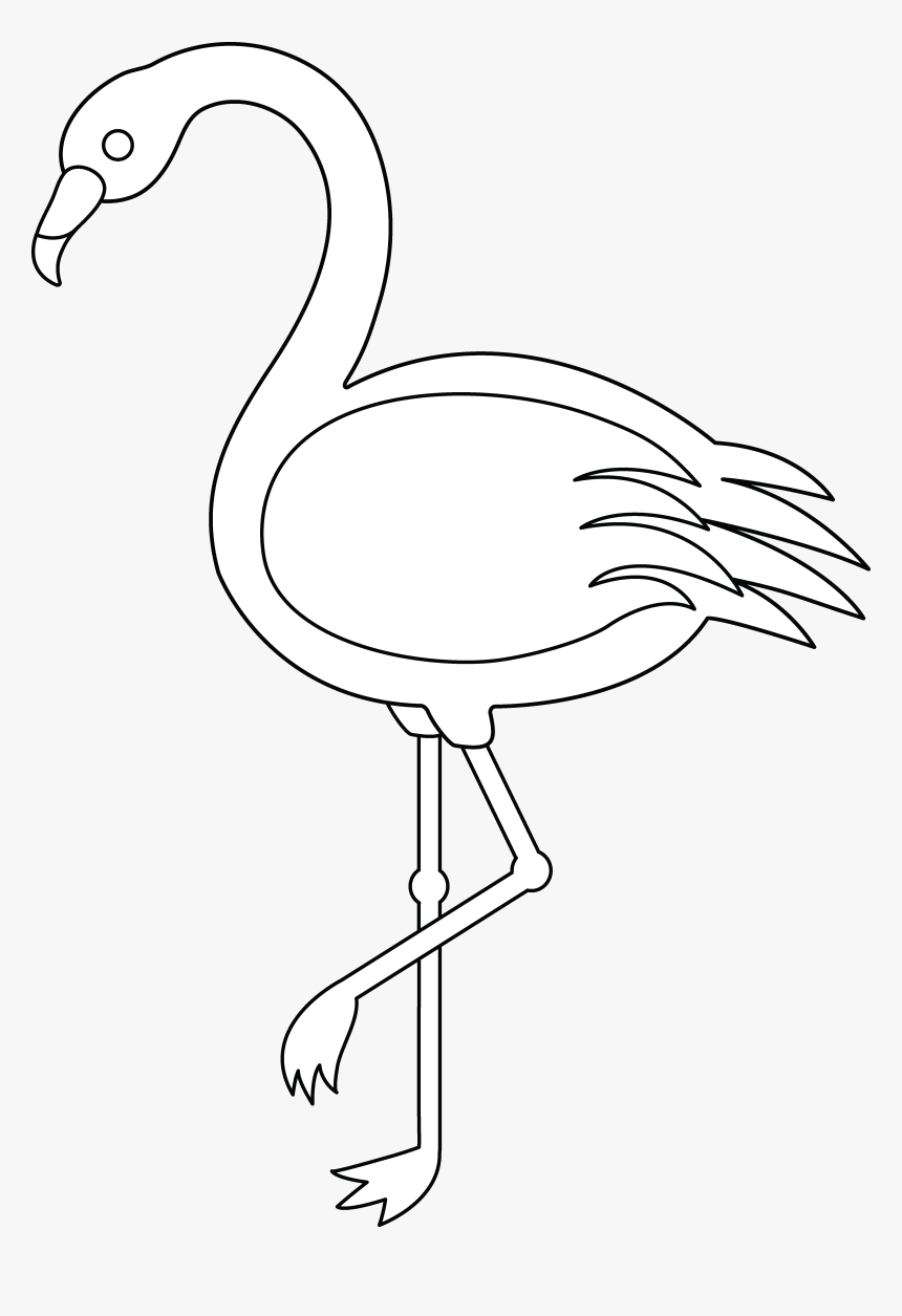 Outline Images Of Flamingo, HD Png Download, Free Download