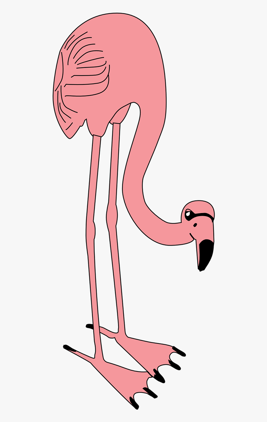 Flamingo Bird Pink Free Picture - Flamencos Animados Png, Transparent Png, Free Download