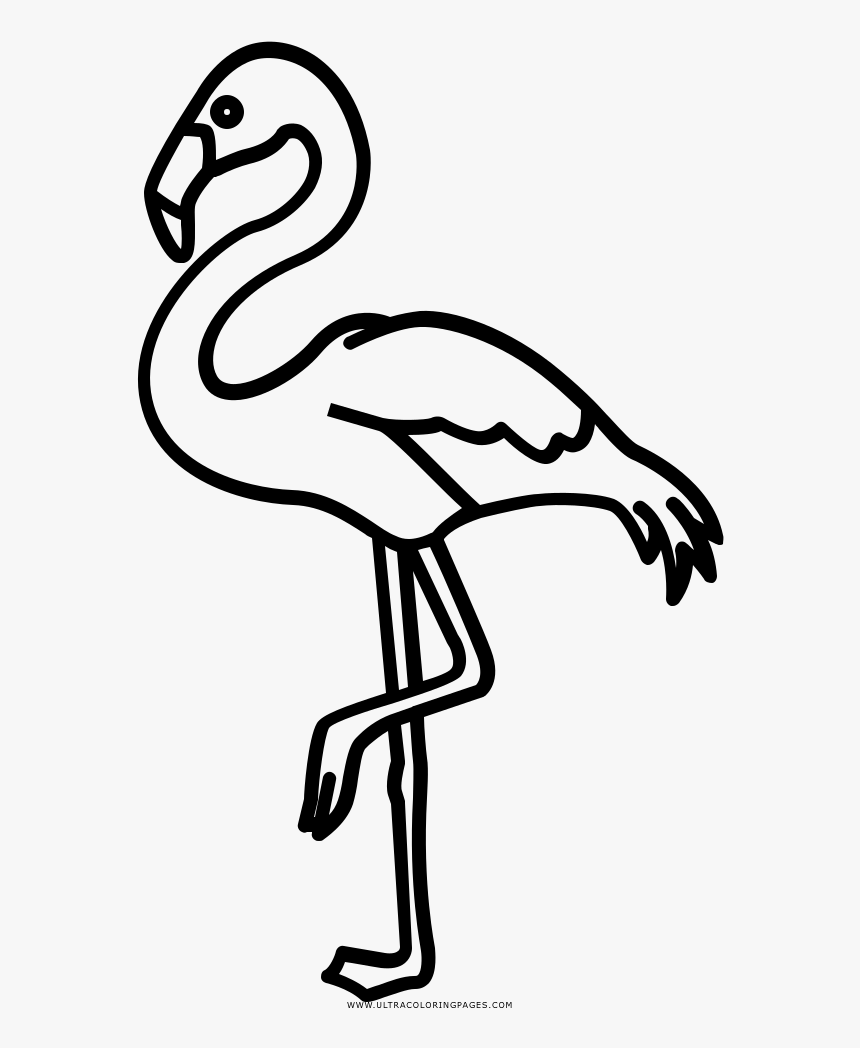 Flamingo Drawing Outline - Flamingo Clipart Silhouette, HD Png Download, Free Download