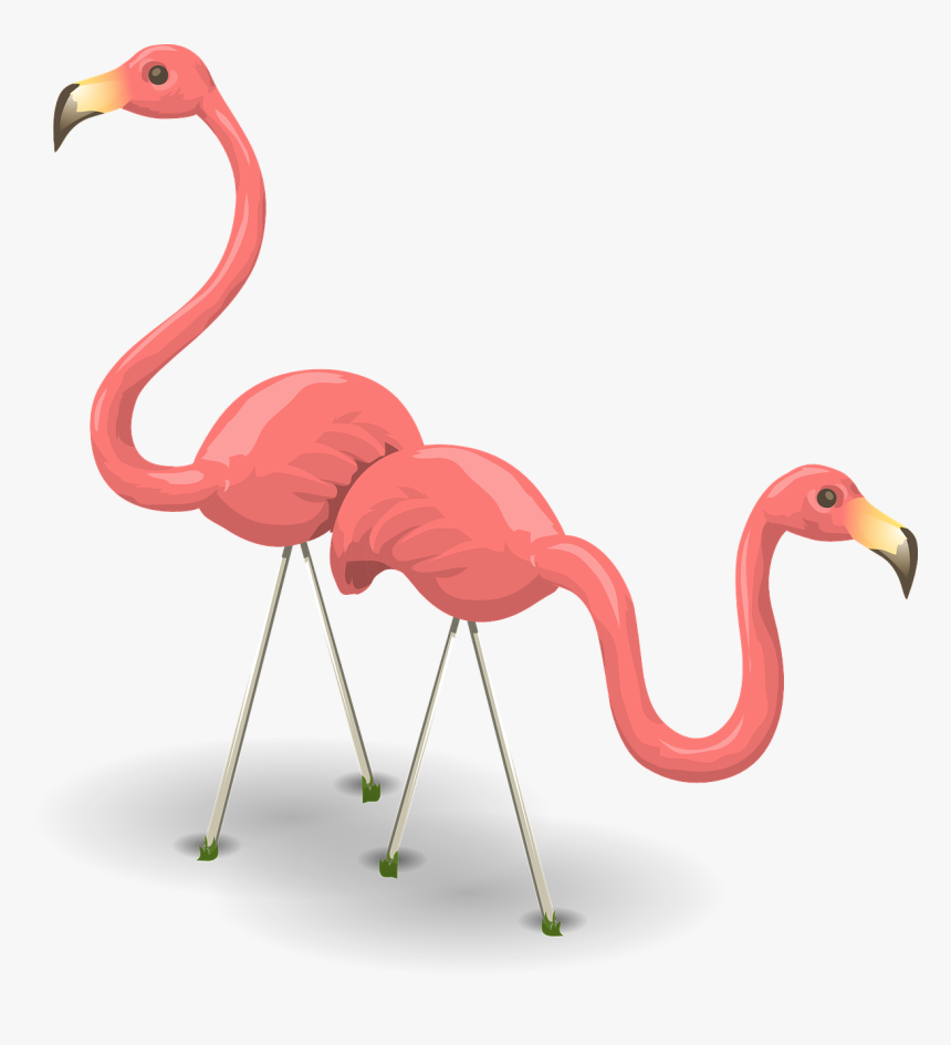 Flamingos, Birds, Pink, Flamingoes, Wildlife - สีชมพู ฟ ลา มิ ง โก้, HD Png Download, Free Download