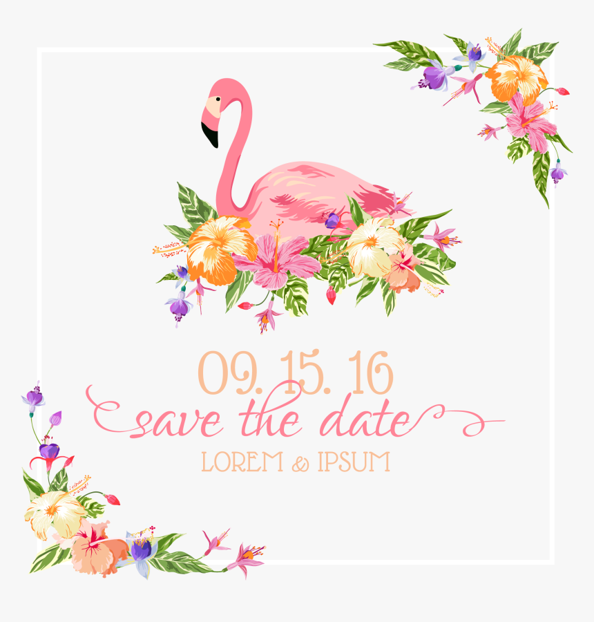Flamingo Wedding Invitation Euclidean Vector Illustration - Save The Date Flamingo, HD Png Download, Free Download