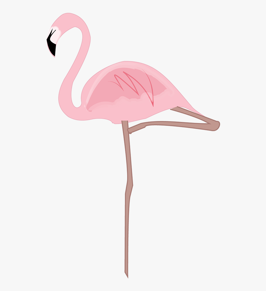 Greater Flamingo, HD Png Download, Free Download