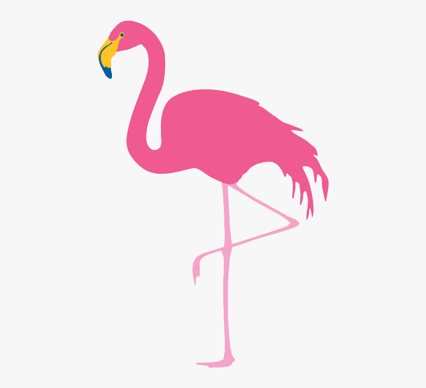 Flamingo Png Free Download - Tags Flamingo, Transparent Png, Free Download