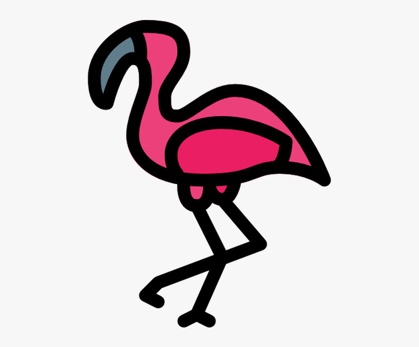 Greater Flamingo, HD Png Download, Free Download