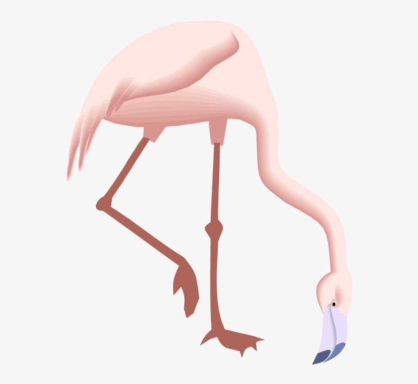 Flamingo Clipart 2 Legged Animal - Pink Flamingo Silhouette, HD Png Download, Free Download