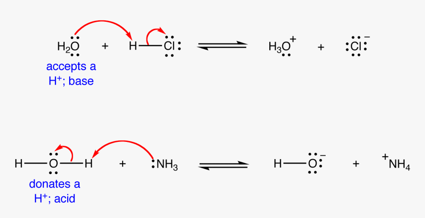 The Water Molecule Could Act As A Base In A Reaction - Water Amphoteric, HD Png Download, Free Download