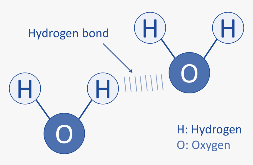 Hydrogen Bonding"
 Src=" - Chemical Bond, HD Png Download, Free Download
