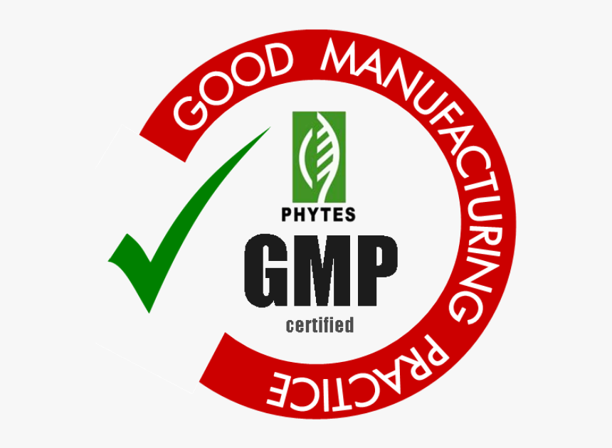 Transparent Gmp Logo Png - Certification Logo Hd, Png Download, Free Download