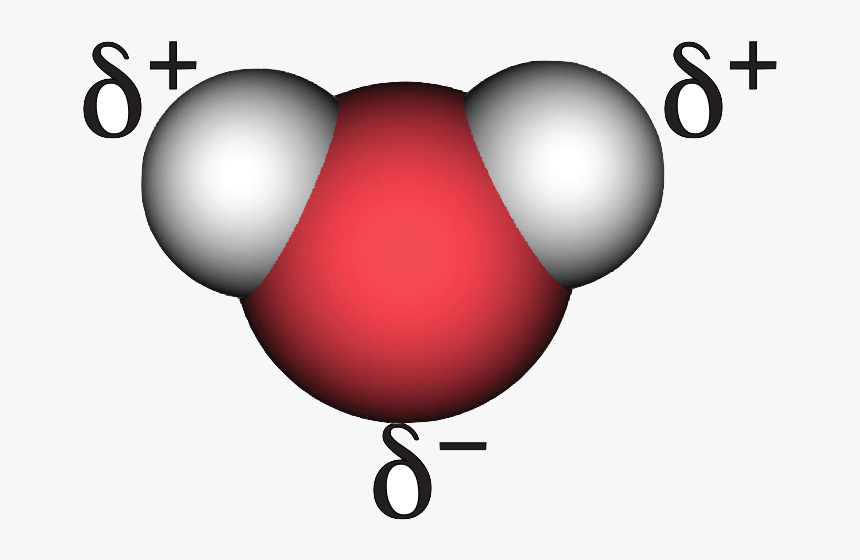 Молекула воды. Модель молекулы воды. Молекула воды рисунок. Изображение молекулы воды.