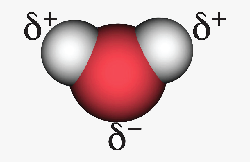 Structure Of Water With Charges, HD Png Download, Free Download