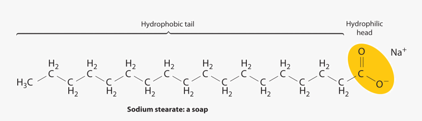 Transparent Water Molecule Png - Example Of A Soap Molecule, Png Download, Free Download