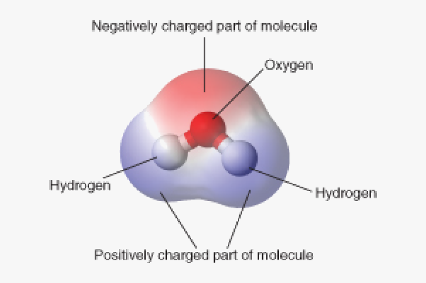 Structure And Chemical Properties Of Water, HD Png Download, Free Download