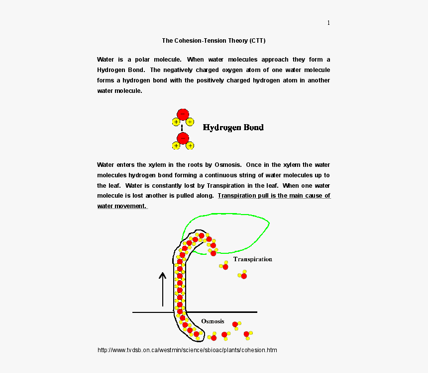 Diagram, HD Png Download, Free Download