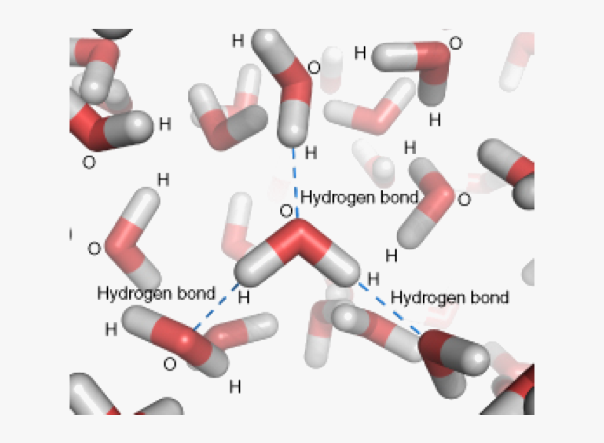 Hydrogen Bond, HD Png Download, Free Download