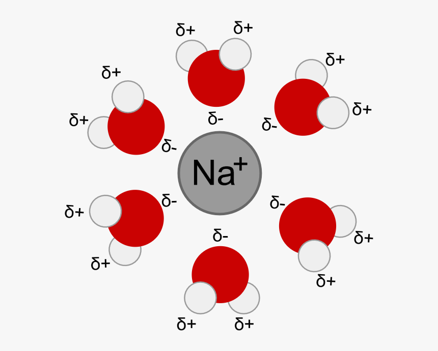 Image - Ion Dipole Interactions, HD Png Download, Free Download